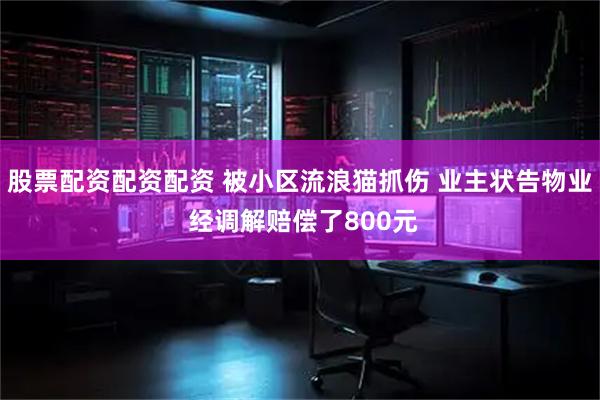 股票配资配资配资 被小区流浪猫抓伤 业主状告物业 经调解赔偿了800元